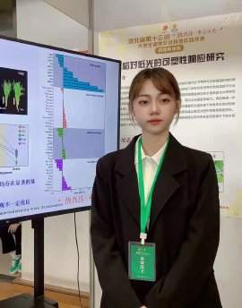 陈琳